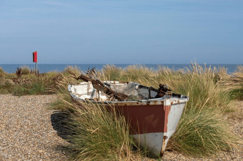 Best Dog Friendly Beaches Norfolk