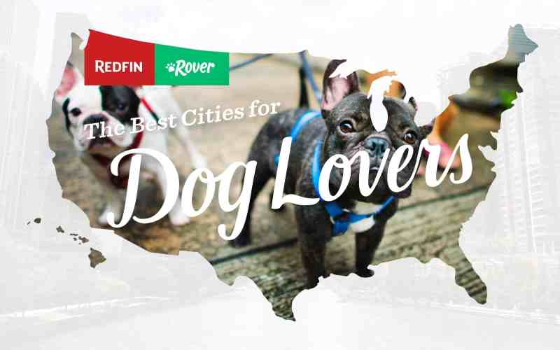 Best Dog Friendly Cities Near Me