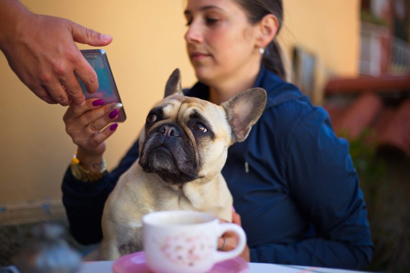 Best Dog Friendly Coffee Near Me