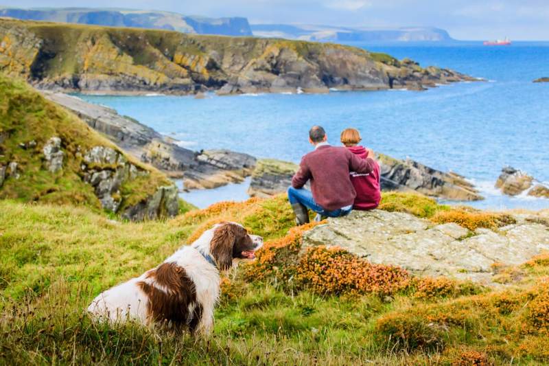 Best Dog-friendly Family Holidays Uk