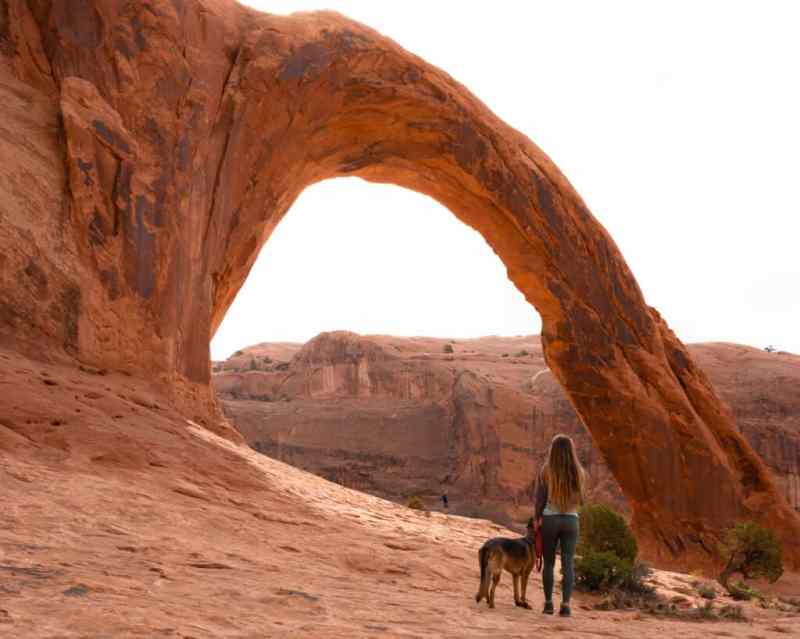 Best Dog Friendly Hikes Near Moab