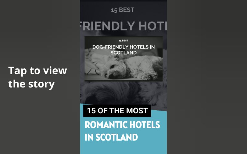 Best Dog Friendly Hotels Scotland