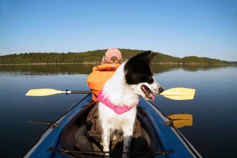 Best Dog-friendly Kayaks