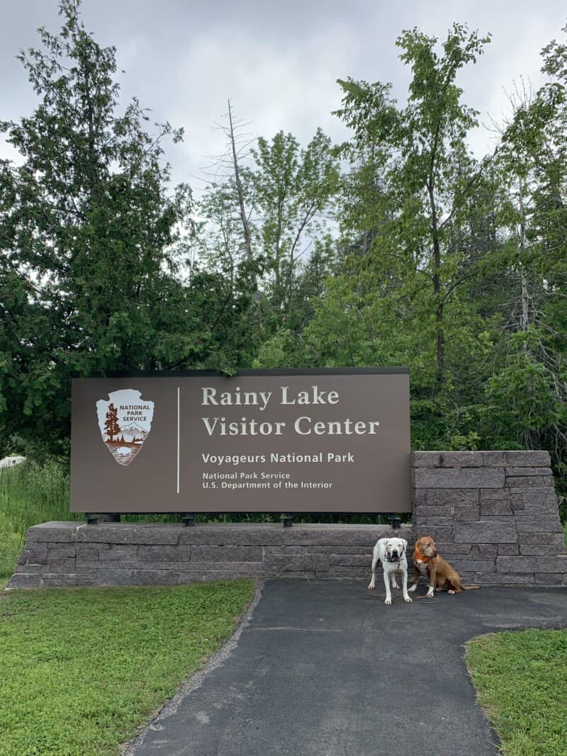 Best Dog Friendly National Parks