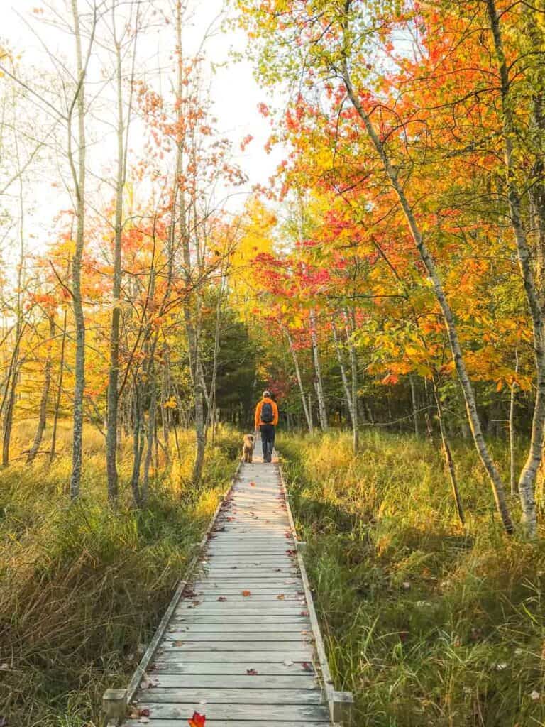 Best Dog Friendly Trails Acadia National Park