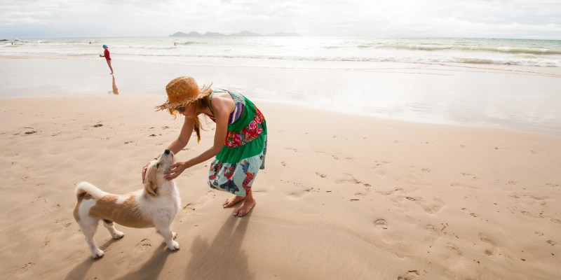 Best Vacations With Dogs