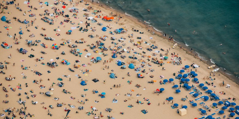 Dog Friendly Beaches East Coast Usa