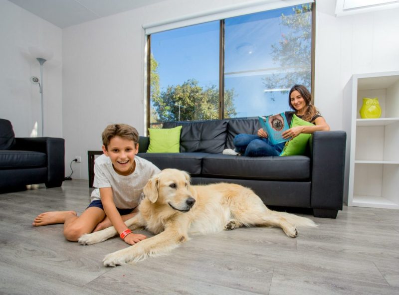 Dog Friendly Cabin Qld