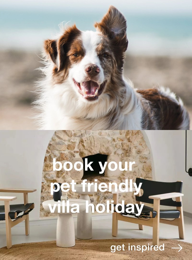 Dog Friendly Holidays Abroad