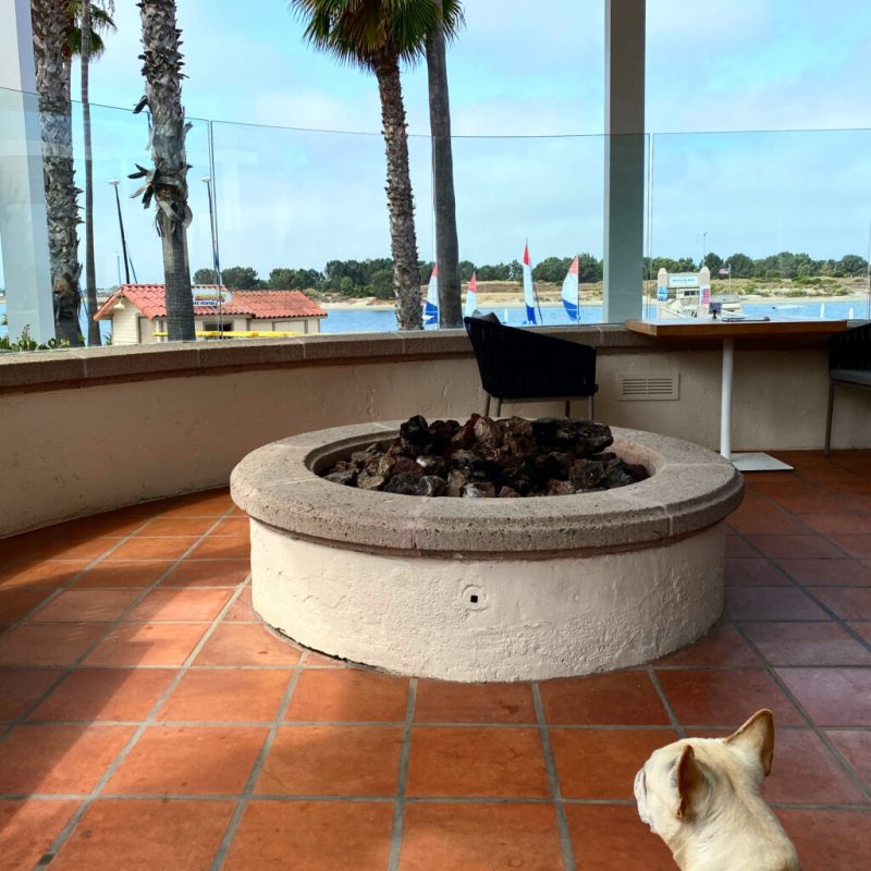 Dog Friendly Resorts Near San Diego