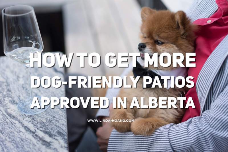 Dog Friendly Vacations Alberta