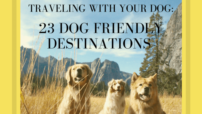 Dog Friendly Vacations Near Dc