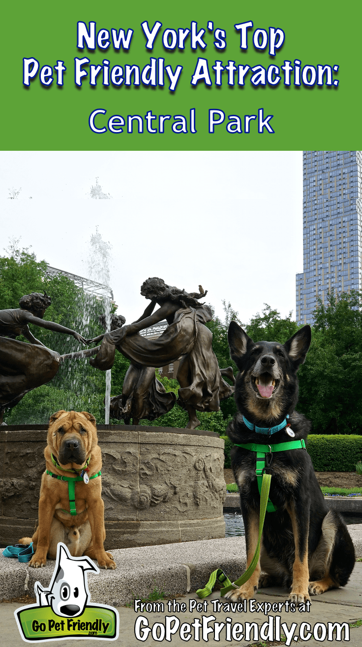 Dog Friendly Vacations Near Nyc