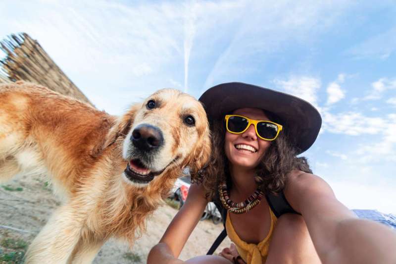 Dog Friendly Vacations Nj