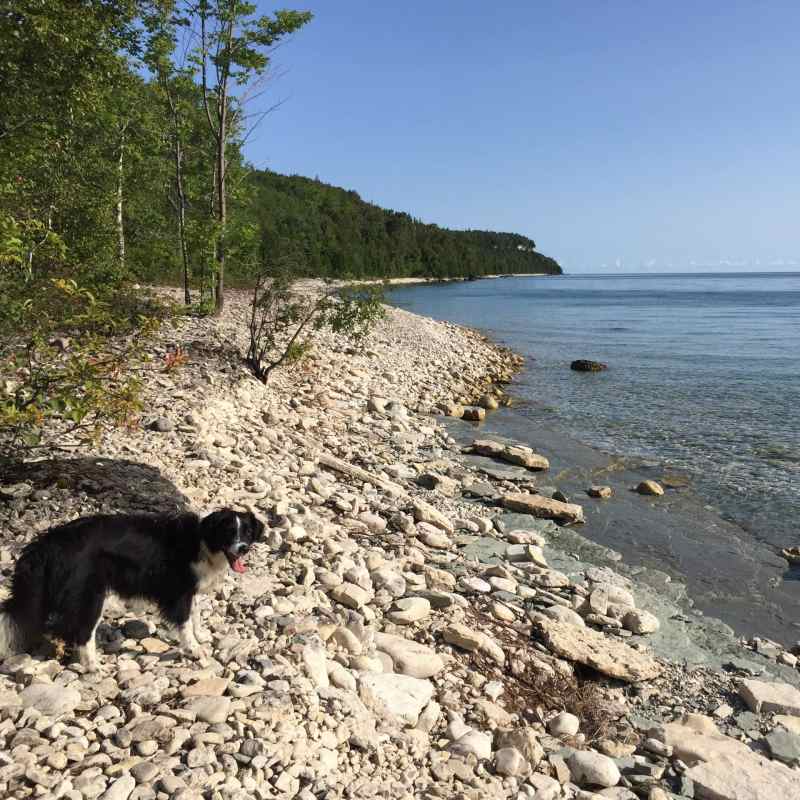 Dog Friendly Vacations Ontario