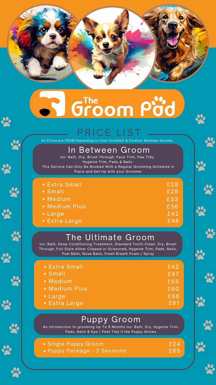 How Much Does It Cost To Get My Dog Groomed