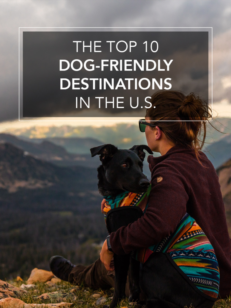 Most Dog Friendly Vacation Spots East Coast