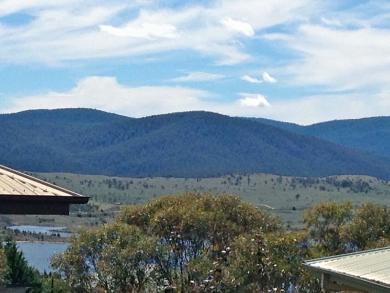 Best Dog Friendly Accommodation Jindabyne