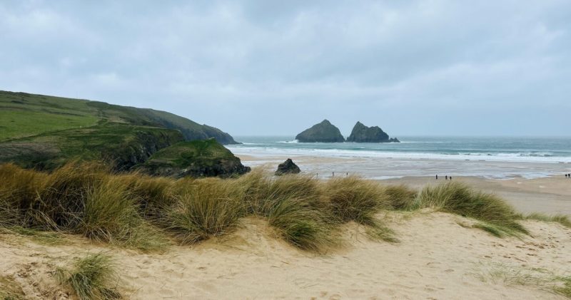 Best Dog Friendly Beaches Cornwall