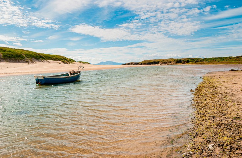 Best Dog Friendly Beaches Kent