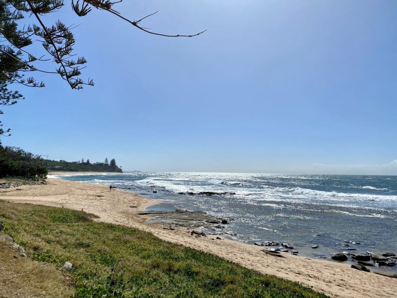 Best Dog Friendly Beaches Sunshine Coast