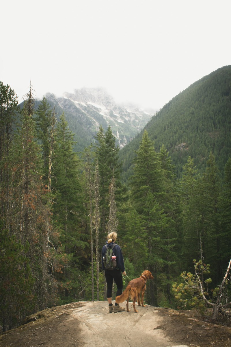 Best Dog Friendly Hikes Near Mount Rainier