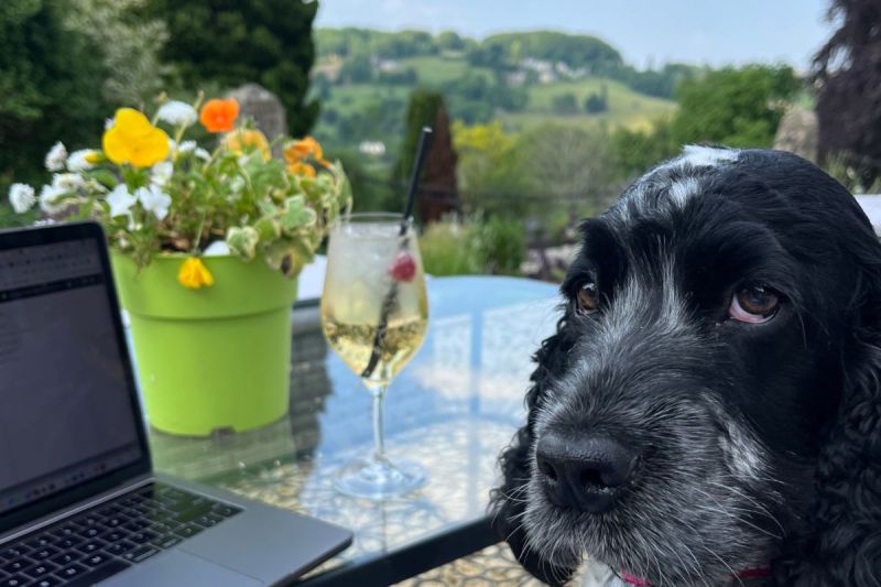 Best Dog Friendly Hotels Cotswolds