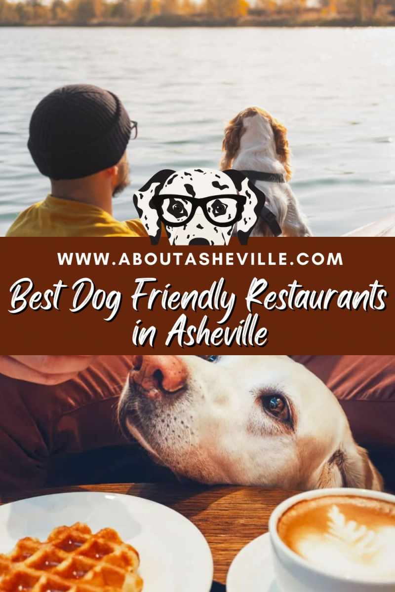 Best Dog Friendly Places In Usa