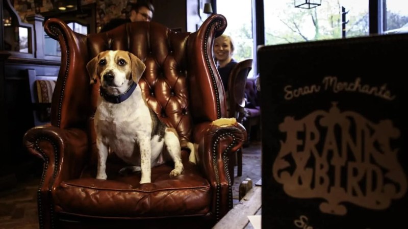 Best Dog Friendly Pubs Essex