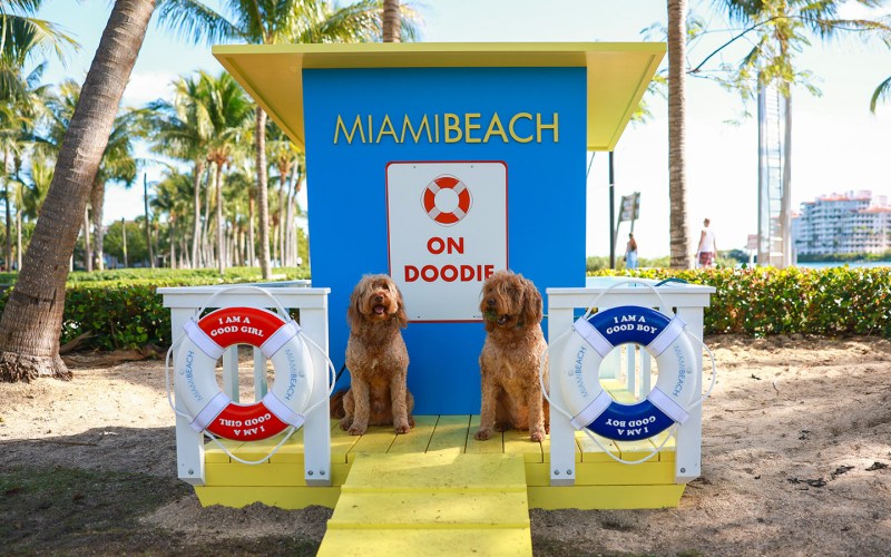 Best Dog Friendly Resorts In Florida