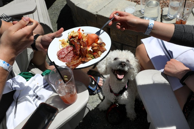 Best Dog Friendly Restaurants Chicago