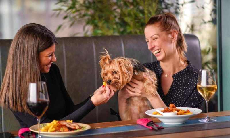 Best Dog Friendly Restaurants London