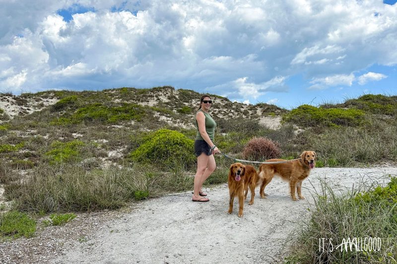 Best Dog Friendly Walking Trails Near Me