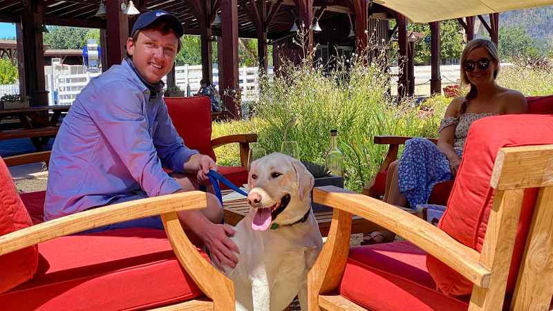 Best Dog Friendly Wineries In Paso Robles