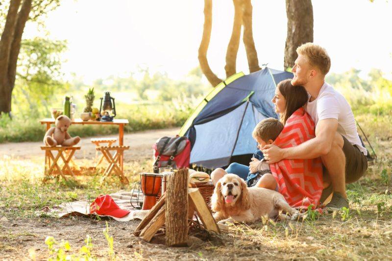 Best Family Vacations With Dogs