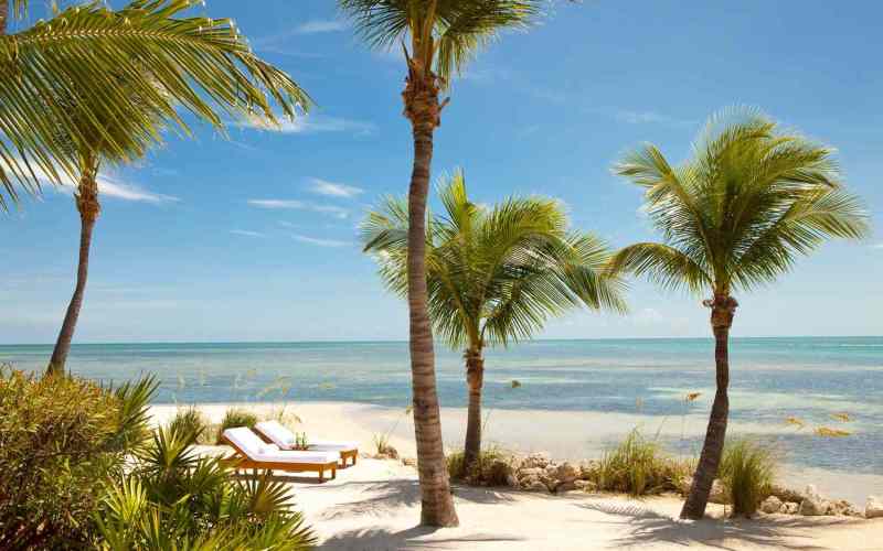 Best Pet Friendly Beach Resorts In Florida