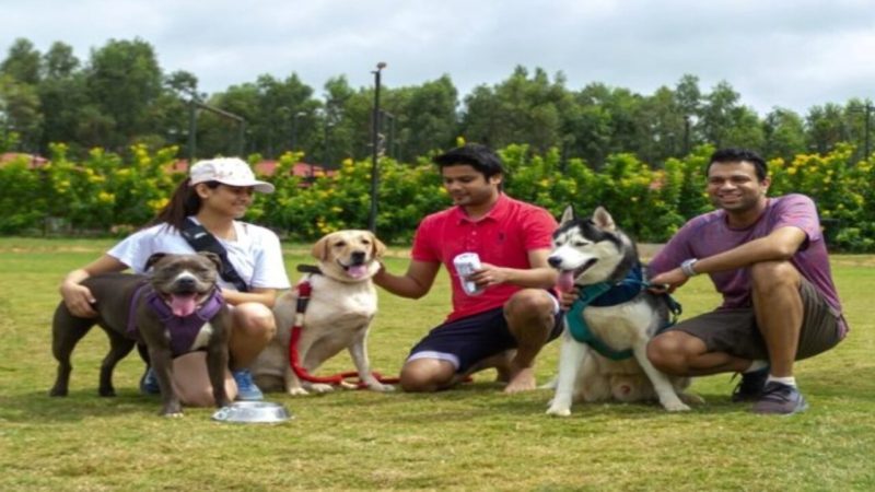 Best Pet Friendly Resorts In Karnataka