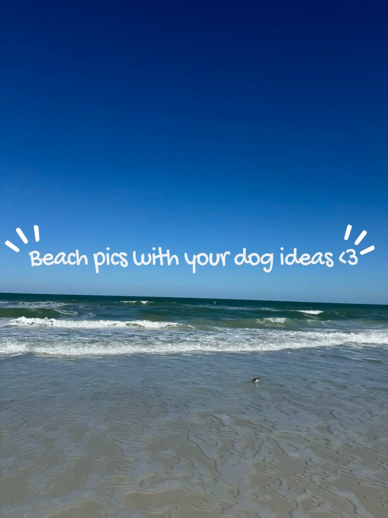 Best Vacations For You And Your Dog