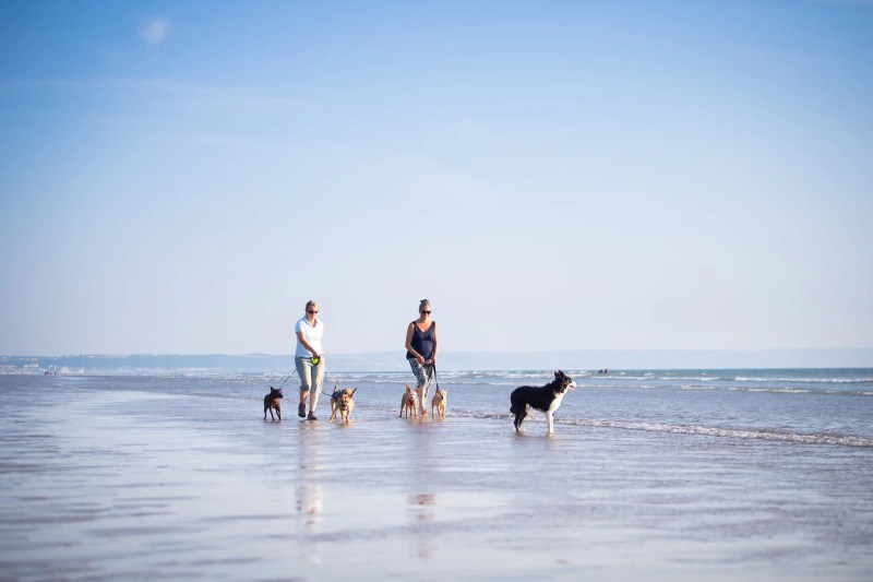 Dog Friendly Activity Holidays Uk