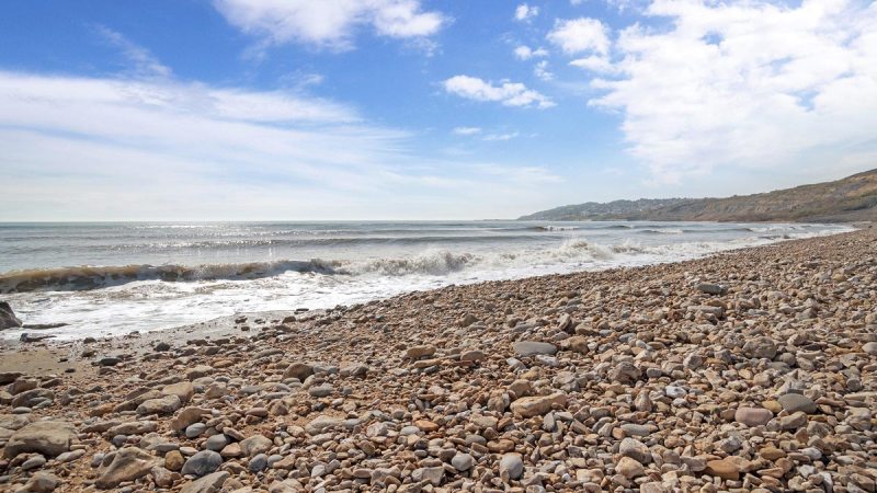 Dog Friendly Beaches East Devon