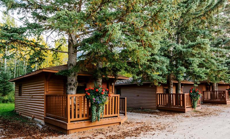 Dog Friendly Cabin Jasper