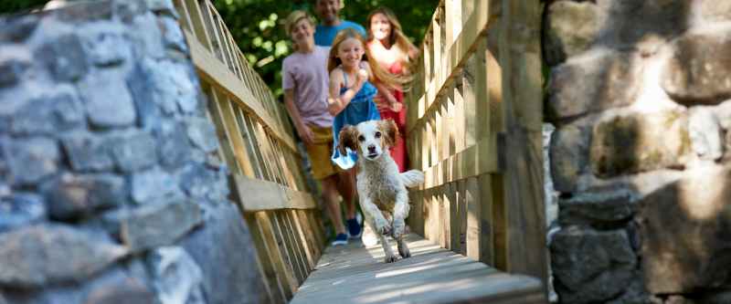 Dog Friendly Cabin Kent