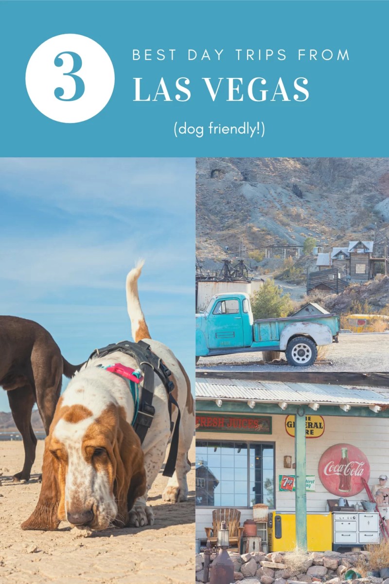 Dog Friendly Day Trips