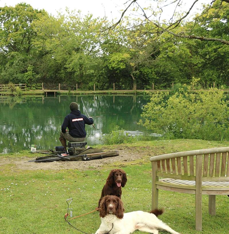 Dog Friendly Fishing Holidays