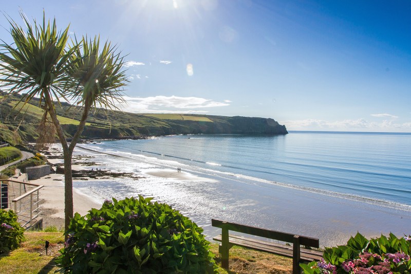 Dog Friendly Holidays Cornwall Near Beach