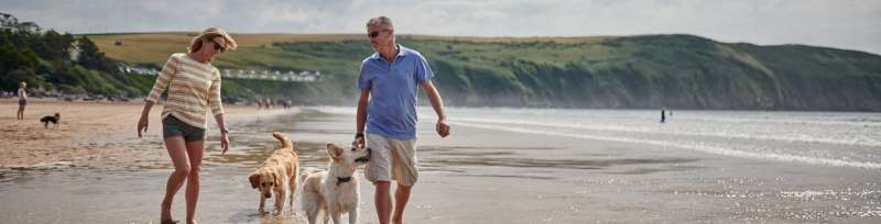 Dog Friendly Holidays Pembrokeshire