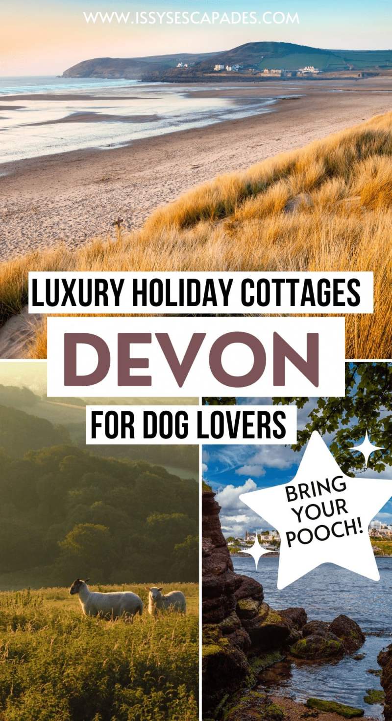 Dog Friendly Holidays To France