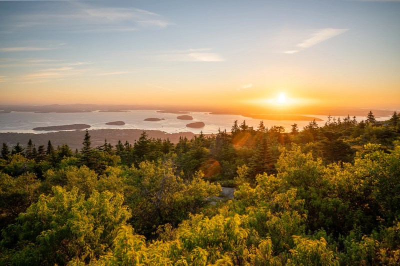 Dog Friendly Lodging Acadia National Park