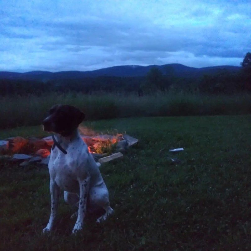 Dog Friendly Lodging Vermont