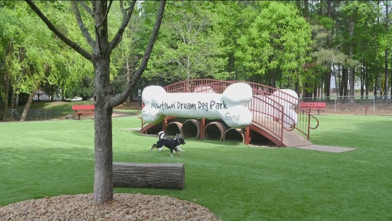 Dog Friendly Parks Near Me Now